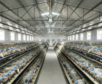 精鋼防腐鋼塑板